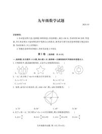 山东省临沂市费县2024-2025学年九年级上学期期中考试数学试题