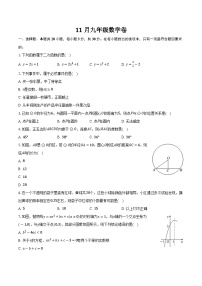 浙江省杭州市七校联考2024-2025学年九年级上学期11月数学试卷