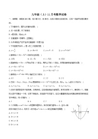 浙江省杭州市八校联考2024-2025学年上学期九年级11月考数学试卷