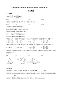 上海市建平实验中学2023-2024学年九年级数学上学期10月月考试题