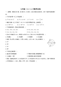 江苏省无锡市八校联考2024-2025学年上学期九年级11月数学试卷