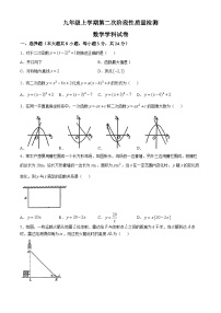 吉林省长春市东北师范大学附属中学净月校区惠泽学校202—2025学年上学期期中考试九年级数学试题(无答案)