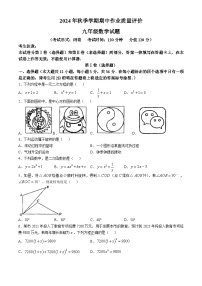 广西南宁市隆安县雁江镇初级中学2024—2025学年上学期九年级期中考试数学试题(无答案)