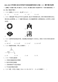 2024-2025学年浙江省台州市初中名校发展共同体九年级（上）期中数学试卷（含详解）