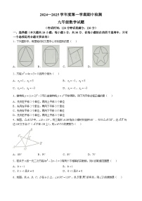 山东省邹城市峄山镇2024—2025学年上学期九年级期中考试数学试题