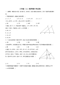 广东省韶关市仁化县八校联考2024-2025学年上学期八年级数学期中考试卷