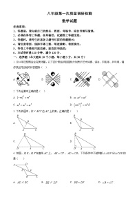 湖南省长沙市湖南师大附中教育集团2024-2025学年八年级上学期期中考试数学试题 （原卷版）-A4