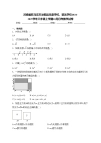 河南省驻马店市泌阳县光亚学校、致远学校2024-2025学年八年级上学期10月月考数学试卷(含答案)