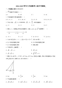 黑龙江省大庆市肇源县九年一贯制考试2024-2025学年八年级上学期10月月考数学试题（原卷版）-A4