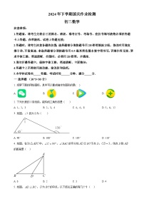 湖南省 长沙市某五校联考2024-2025学年八年级上学期10月月考数学试题（原卷版）-A4