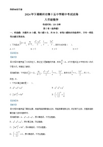 湖南省郴州市2024-2025学年八年级上学期11月期中数学试题（解析版）-A4