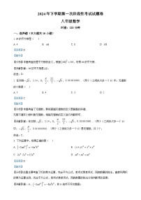 湖南省衡阳市第九中学2024-2025学年八年级上学期第一次月考数学试卷（解析版）-A4