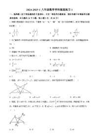 湖南省长沙市湖南师大附中梅溪湖中学2024-2025学年八年级上学期第一次月考数学试题（原卷版）-A4