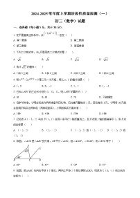 黑龙江省大庆市肇源县四校联考2024-2025学年八年级上学期10月月考数学试题（原卷版）-A4