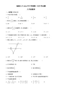 湖南省岳阳市 临湘市第九中学2024-2025学年八年级上学期10月月考数学试题（原卷版）-A4