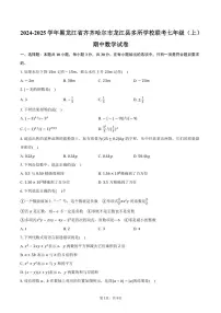 2024～2025学年黑龙江省齐齐哈尔市龙江县多所学校联考七年级(上)期中数学试卷(含答案)