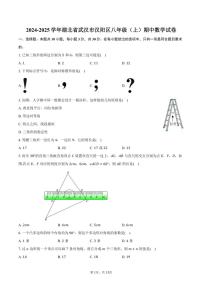2024～2025学年湖北省武汉市汉阳区八年级(上)期中数学试卷(含答案)