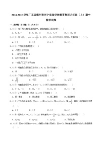 广东省梅州市兴宁实验学校教育集团2024-2025学年八年级上学期期中数学试卷