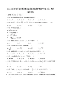 广东省梅州市兴宁实验学校教育集团2024-2025学年八年级上学期期中数学试卷