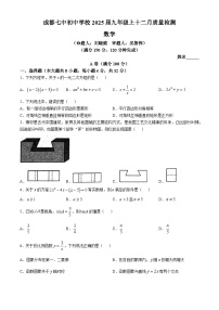 四川省成都市第七中学初中学校2024-2025学年九年级上学期12月月考数学试题(无答案)