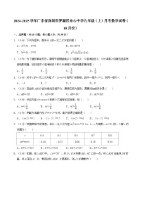 广东省深圳市罗湖区布心中学2024-2025学年九年级上学期10月月考数学试卷