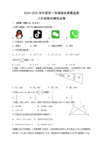 2024-2025学年人教版八年级数学上册  期末质量监测模拟试卷