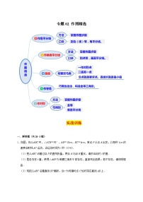 苏科版数学八上期末专题复习专题02 作图精选（2份，原卷版+解析版）