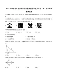 2024-2025学年江苏省连云港市新海初级中学八年级（上）期中考试数学试卷（含答案）