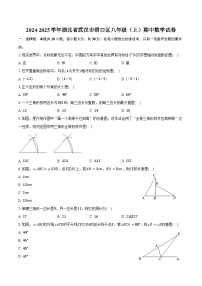 2024-2025学年湖北省武汉市硚口区八年级（上）期中数学试卷（含答案）