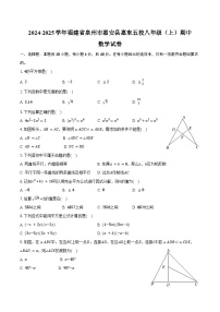 2024-2025学年福建省泉州市惠安县惠东五校八年级（上）期中数学试卷（含答案）