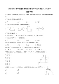 2024-2025学年福建省泉州市永春五中片区九年级（上）期中数学试卷（含答案）