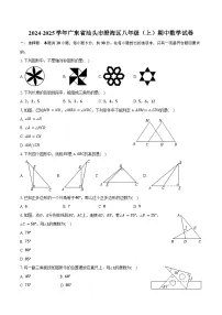 2024-2025学年广东省汕头市澄海区八年级（上）期中数学试卷（含答案）