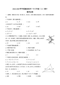 2024-2025学年福建省泉州一中八年级（上）期中数学试卷（含答案）