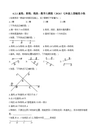 初中数学人教版（2024）七年级上册4.2 直线、射线、线段达标测试