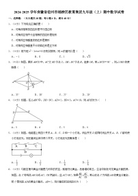 2024-2025学年安徽省宿州市埇桥区教育集团九年级（上）期中数学试卷（含详解+考点）