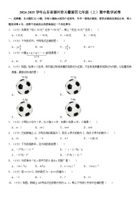 2024-2025学年山东省德州市天衢新区七年级（上）期中数学试卷（含详解）