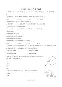 江苏徐州九校联考2024年九年级上学期11月联考数学试卷+答案