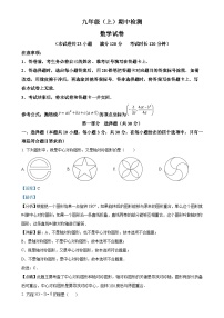 辽宁省大连市高新园区2024-2025学年九年级上学期期中考试数学试卷（解析版）-A4