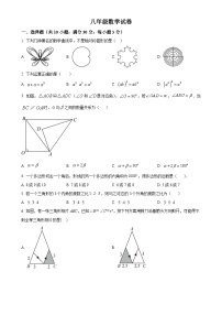 河南省信阳市浉河中学 2024-2025学年八年级上学期10月月考数学试卷（原卷版）-A4