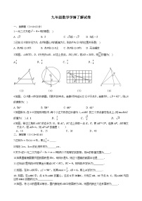 江苏省泰州市姜堰区城西实验学校2024-2025学年九年级上学期第二次月考数学试题