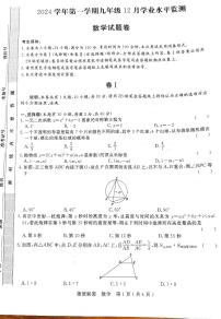 浙江省杭州市浙派联盟2024-2025学年上学期九年级12月学业水平检测数学卷