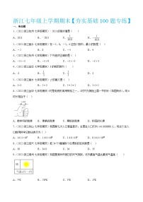 浙教版数学七年级上学期期末【夯实基础100题专练】（解析版）