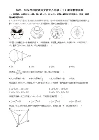 陕西省西安市雁塔区陕西师范大学附属中学2023-2024学年八年级下学期期末数学试卷
