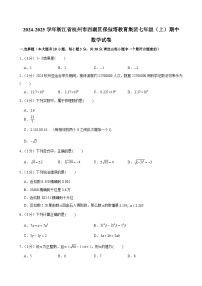 浙江省杭州市西湖区保俶塔教育集团2024—2025学年上学期七年级期中数学试卷