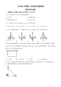 吉林省长春市东北师范大学附属中学净月校区惠泽学校2024～2025学年九年级(上)期中数学试卷(无答案)