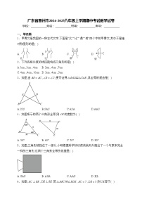 广东省惠州市2024-2025八年级上学期期中考试数学试卷(含答案)