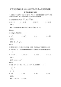 2024~2025学年广西贺州市富川县八年级上学期期中质量监控检测数学试卷(解析版)