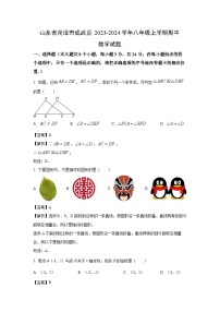 2023~2024学年山东省菏泽市成武县八年级上学期期中数学试卷(解析版)