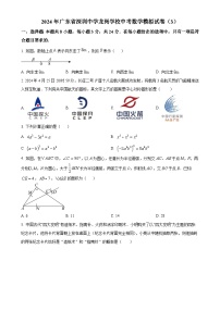 2024年广东省深圳市龙岗区深圳中学龙岗学校中考数学模拟试卷（3） （原卷版）-A4