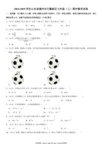 2024～2025学年山东省德州市天衢新区七年级(上)期中数学试卷(含详解)